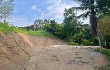 LUXURIOUS PRE-CONSTRUCTION 3-BEDROOM HOME IN DESIRED PLAYA HERMOSA – 0.57 ACRES